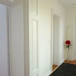 Avenue De La Paix - L'exclusif * Straßburg